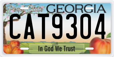 GA license plate CAT9304