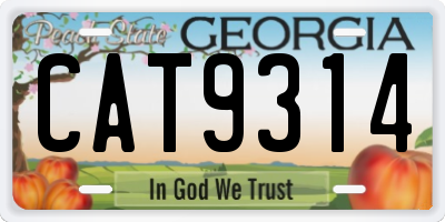 GA license plate CAT9314