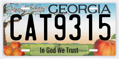 GA license plate CAT9315
