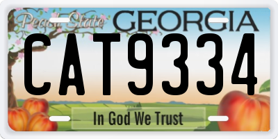 GA license plate CAT9334
