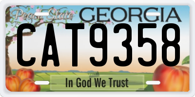 GA license plate CAT9358