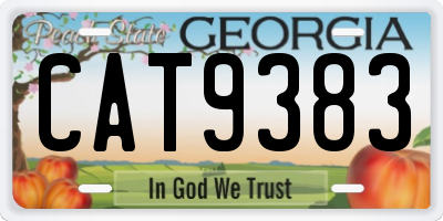 GA license plate CAT9383