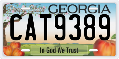 GA license plate CAT9389