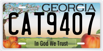 GA license plate CAT9407