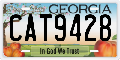 GA license plate CAT9428