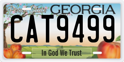 GA license plate CAT9499