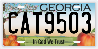 GA license plate CAT9503