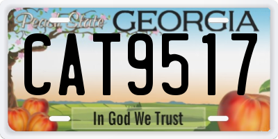 GA license plate CAT9517