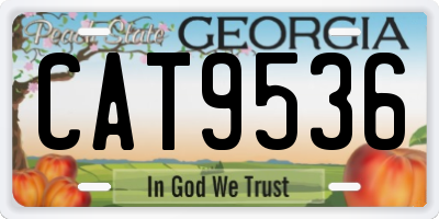 GA license plate CAT9536