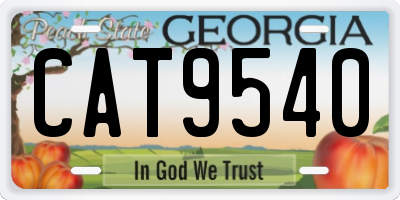 GA license plate CAT9540