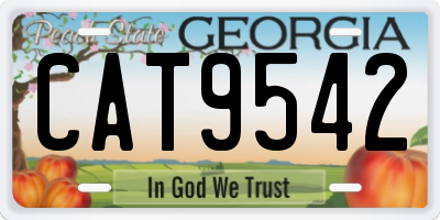 GA license plate CAT9542