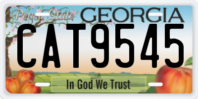 GA license plate CAT9545