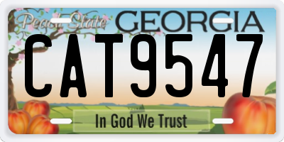 GA license plate CAT9547