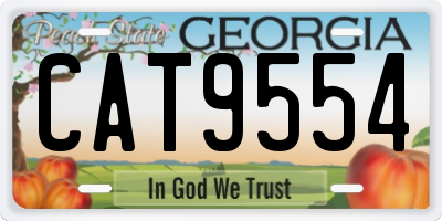GA license plate CAT9554