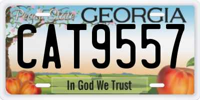 GA license plate CAT9557