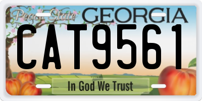 GA license plate CAT9561