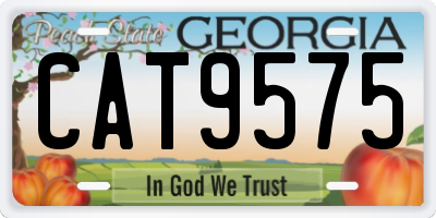 GA license plate CAT9575