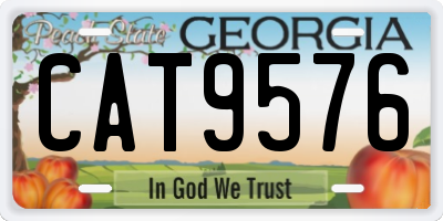 GA license plate CAT9576