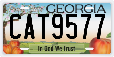 GA license plate CAT9577
