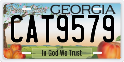GA license plate CAT9579