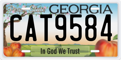 GA license plate CAT9584