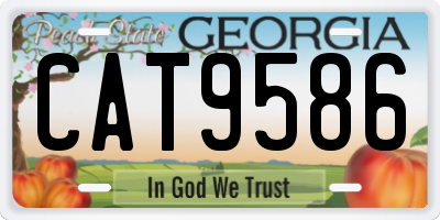 GA license plate CAT9586