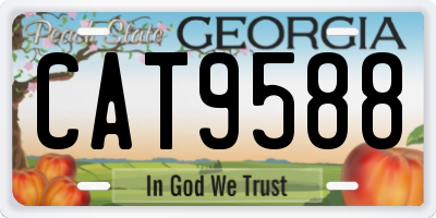 GA license plate CAT9588