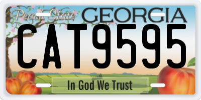 GA license plate CAT9595
