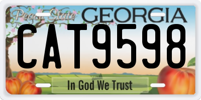 GA license plate CAT9598