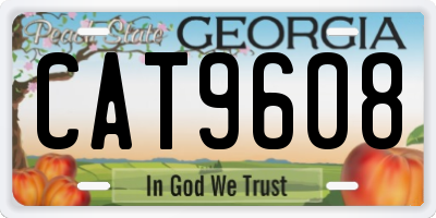 GA license plate CAT9608