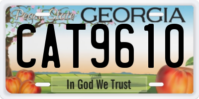GA license plate CAT9610
