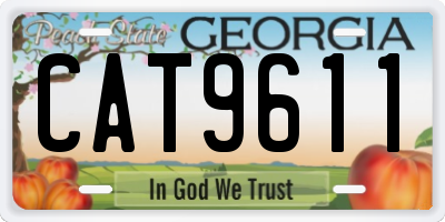 GA license plate CAT9611