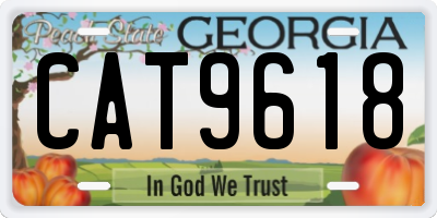 GA license plate CAT9618