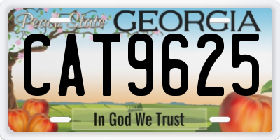 GA license plate CAT9625