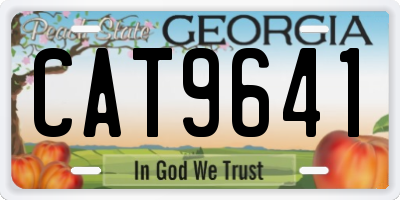 GA license plate CAT9641
