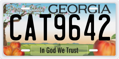 GA license plate CAT9642
