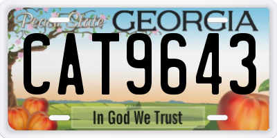GA license plate CAT9643