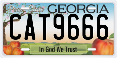 GA license plate CAT9666