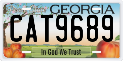 GA license plate CAT9689