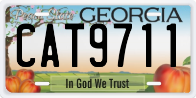GA license plate CAT9711