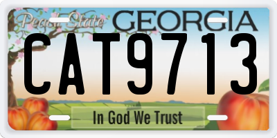 GA license plate CAT9713