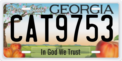 GA license plate CAT9753