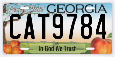 GA license plate CAT9784