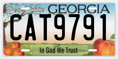 GA license plate CAT9791