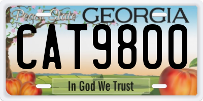 GA license plate CAT9800