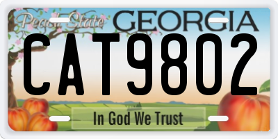 GA license plate CAT9802