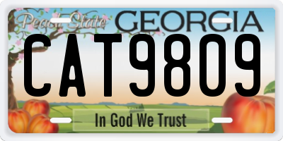 GA license plate CAT9809