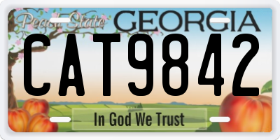 GA license plate CAT9842