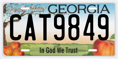 GA license plate CAT9849