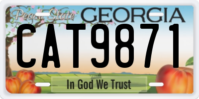 GA license plate CAT9871